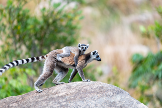 Anja Community Reserve - Madagascar