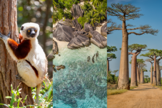 Madagascar-and-Seychelles-bespoke-holidays
