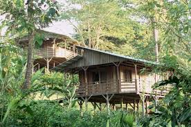 Bungalow at Selva Bananito Lodge, one of the premier Costa Rica eco-lodges nestled in the Talamanca Mountains.
